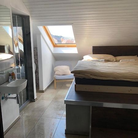 Apartman Krystof Františkovy Lázně Zewnętrze zdjęcie