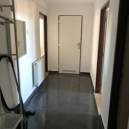 Apartament Apartman Krystof Františkovy Lázně Zewnętrze zdjęcie